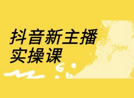 抖音新主播实操课，直播间流量运营线上实操课(18节)-卿云社