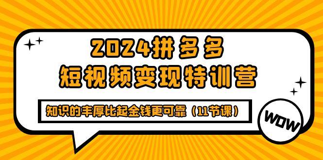 (9817期)2024拼多多短视频变现特训营，知识的丰厚比起金钱更可靠(11节课)-卿云社