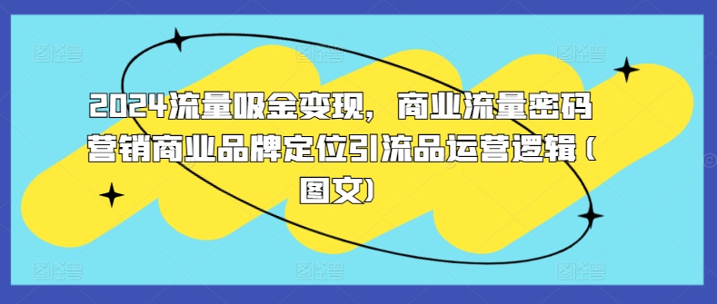 2024流量吸金变现，商业流量密码营销商业品牌定位引流品运营逻辑(图文)-卿云社