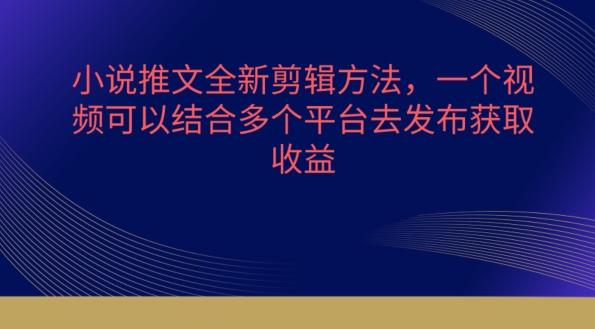 小说推文全新剪辑方法，一个视频可以结合多个平台去发布获取【揭秘】-卿云社