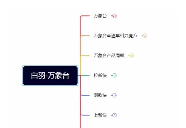 白羽·直引万搜索全篇，从0-1，多个类目实操经验总结付费-卿云社