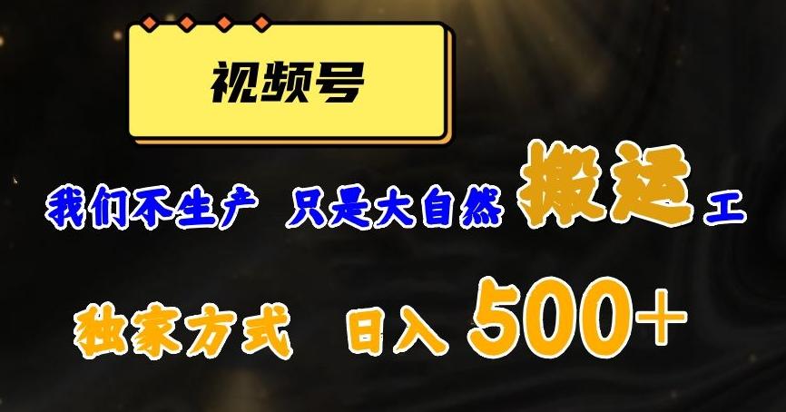 视频号轻松搬运日赚500+，一个1分钟1条原创视频【揭秘】-卿云社