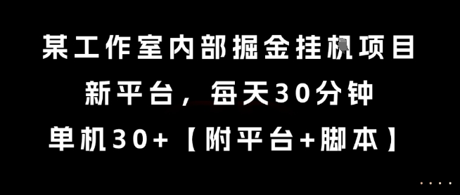 某工作室内部掘金挂G项目，新平台，每天30分钟，单机30+【揭秘】-卿云社