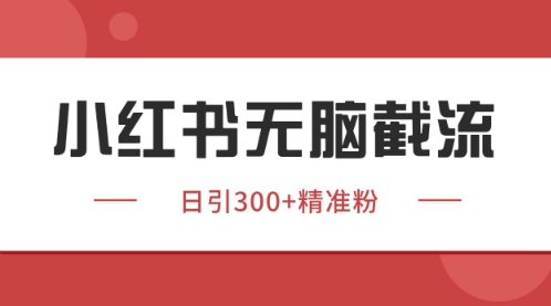 小红书只要你有同行就能获客，独家野路子获客玩法，暴力截流【揭秘】-卿云社