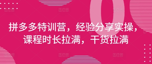 拼多多特训营，经验分享实操，课程时长拉满，干货拉满(更新25年4月)-卿云社