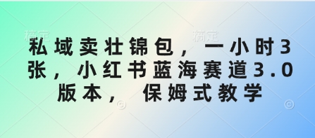 私域卖壮锦包，一小时3张，小红书蓝海赛道3.0版本， 保姆式教学-卿云社