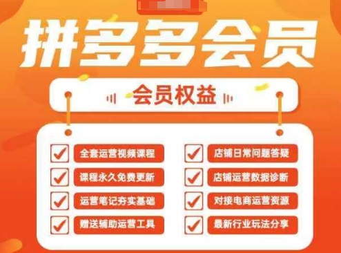 2025拼多多运营实战课，40节全流程教学，覆盖拼多多运营全链路-卿云社