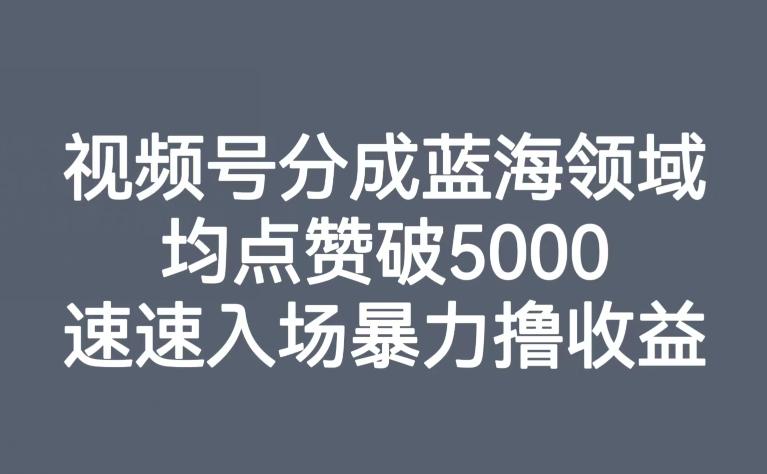 视频号分成蓝海领域，均点赞破5000，速速入场暴力撸收益-卿云社