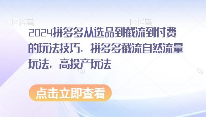 2024拼多多从选品到截流到付费的玩法技巧，拼多多截流自然流量玩法，高投产玩法-卿云社