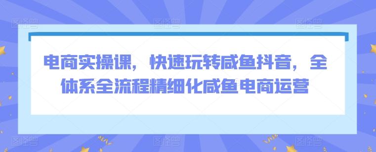 电商实操课，快速玩转咸鱼抖音，全体系全流程精细化咸鱼电商运营-卿云社