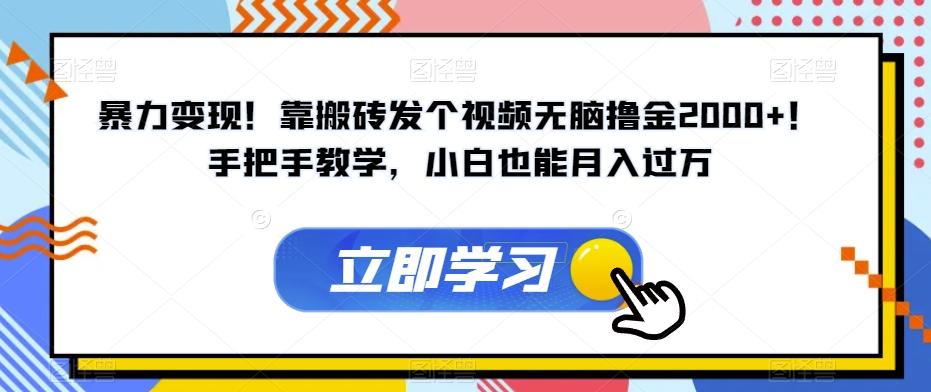 暴力变现！靠搬砖发个视频无脑撸金2000+！手把手教学，小白也能月入过万【揭秘】-卿云社