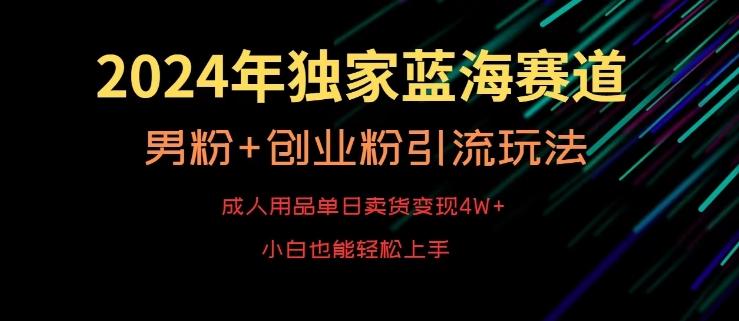 2024年独家蓝海赛道，成人用品单日卖货变现4W+，男粉+创业粉引流玩法，不愁搞不到流量【揭秘】-卿云社
