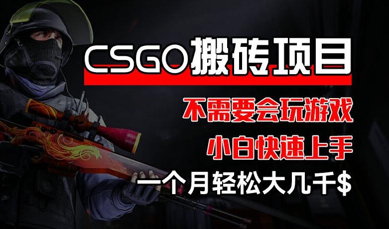CSGO 装备搬砖项目，操作简单，不需要会玩游戏，小白也能快速上手，一个月轻松大几千【揭秘】-卿云社