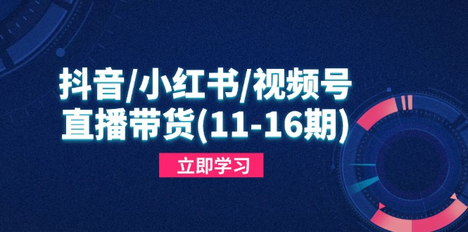 抖音/小红书/视频号/直播带货(11-16期-卿云社
