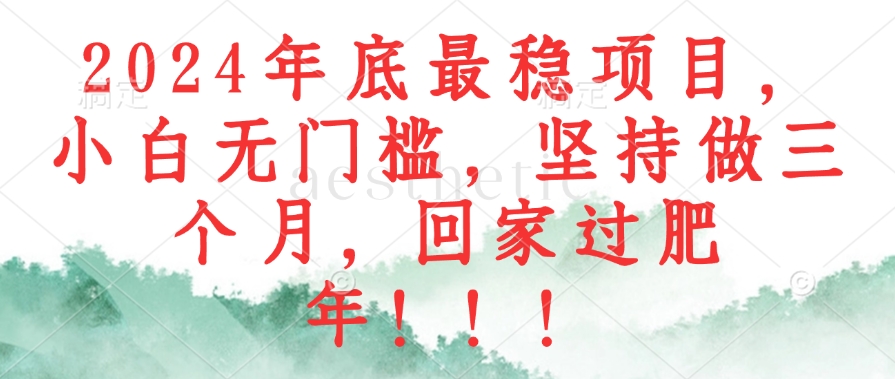 2024年底最稳项目，小白无门槛，坚持做三个月，回家过肥年！！！-卿云社