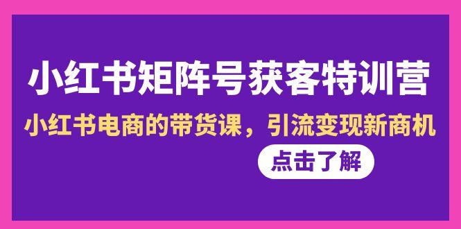 小红书-矩阵号获客特训营-第10期，小红书电商的带货课，引流变现新商机-卿云社