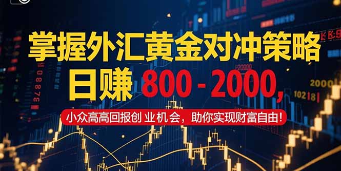 掌握外汇黄金对冲策略，日赚 800 – 2000，小众高回报创业机会，助你实…-卿云社