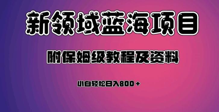 虚拟资源蓝海领域新项目，轻松日入800＋，附保姆级教程及资料-卿云社
