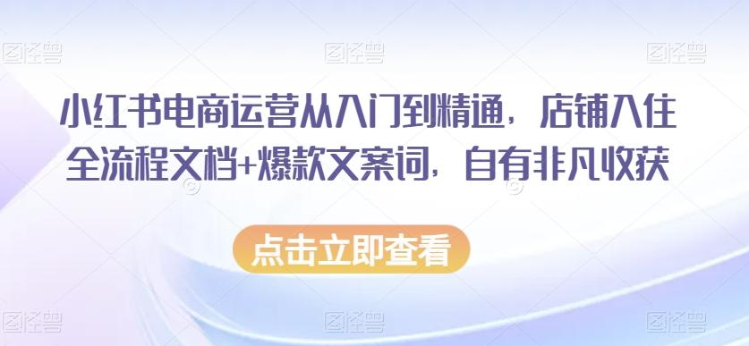 小红书电商运营从入门到精通，店铺入住全流程文档+爆款文案词，自有非凡收获-卿云社
