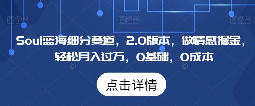 Soul蓝海细分赛道，2.0版本，做情感掘金，轻松月入过万，0基础，0成本-卿云社