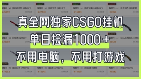 真全网独家CSGO挂G，单日捡漏1k+【揭秘】-卿云社