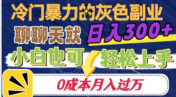 冷门暴利的副业项目，聊聊天就能日入300+，0成本月入过万【揭秘】-卿云社