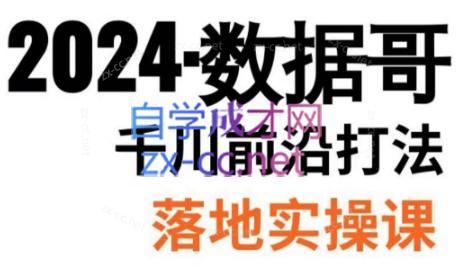 数据哥·2024年千川前沿打法落地实操课-卿云社