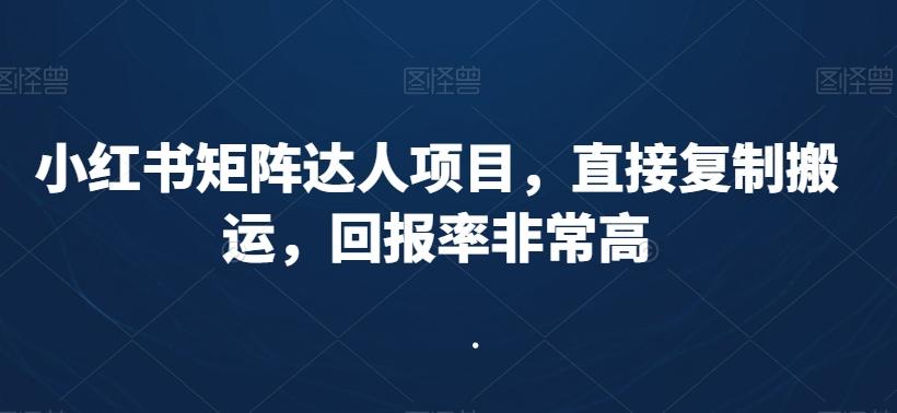 小红书矩阵达人项目，直接复制搬运，回报率非常高-卿云社