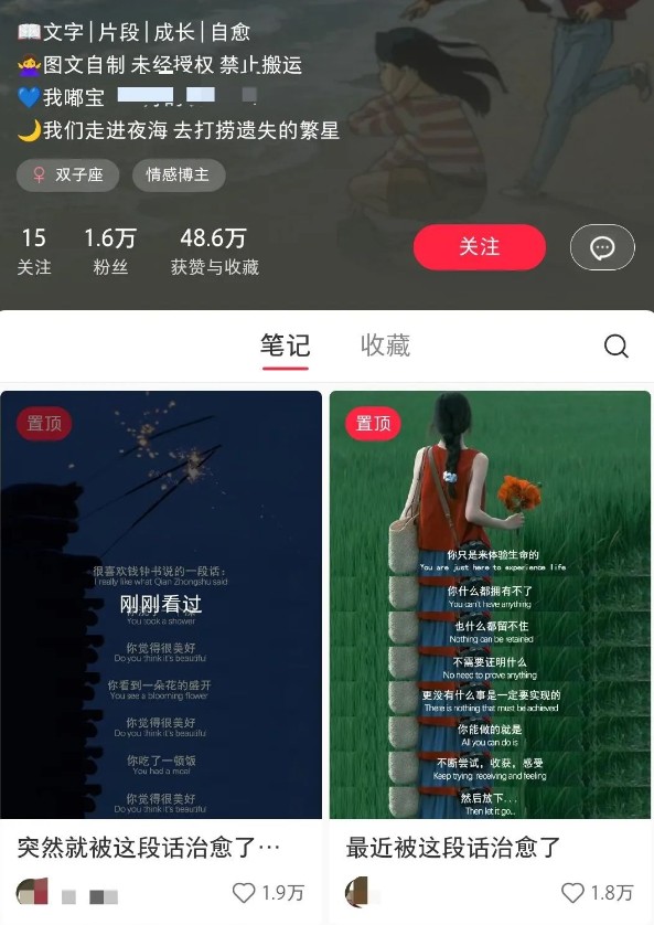 小红书治愈文案图文笔记，零门槛，一分钟制作轻松制作爆款作品月入万元-卿云社