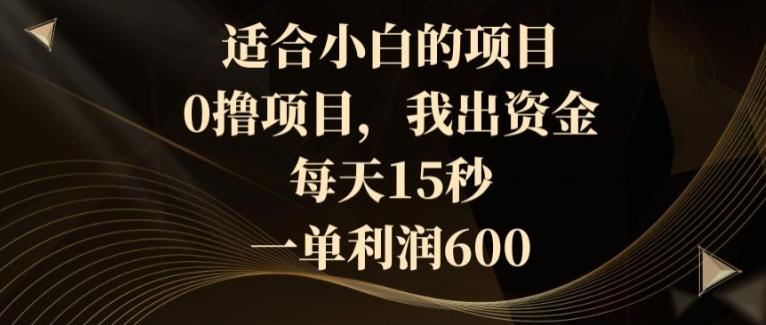 适合小白的项目，0撸项目，我出资金，每天15秒，一单利润600-卿云社