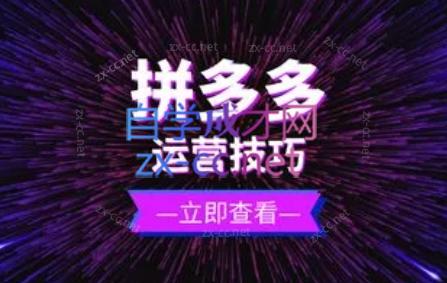 力辛电商·拼多多强付费店群玩法-卿云社