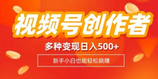 视频号创作者计划，多种变现方式，日入500+【内附1080g视频素材】-卿云社