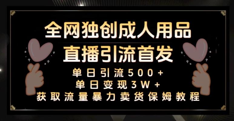 全网独创真人主播+无人直播单日引流500+，橙人用品暴力卖货单日变现3W+保姆似教学2.0【揭秘】-卿云社