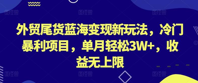 外贸尾货蓝海变现新玩法，冷门暴利项目，单月轻松3W+，收益无上限【揭秘】-卿云社