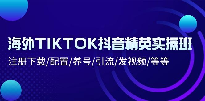海外TIKTOK抖音精英实操班：注册下载/配置/养号/引流/发视频/等等-卿云社