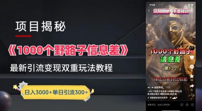 一千个野路子信息差最新玩法教程-变现+引流的玩法具体拆解【揭秘】-卿云社