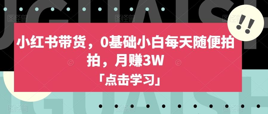 小红书带货，0基础小白每天随便拍拍，月赚3W【揭秘】-卿云社