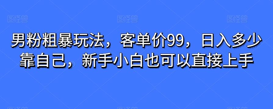 男粉粗暴玩法，客单价99，日入多少靠自己，新手小白也可以直接上手-卿云社
