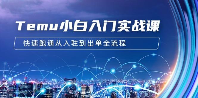 (9295期)Temu小白入门实战课：跨境拼多多电商培训 快速跑通从入驻到出单全流程-12节-卿云社
