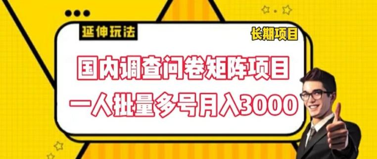国内调查问卷矩阵项目，一人批量多号月入3000【揭秘】-卿云社