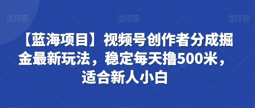 【蓝海项目】视频号创作者分成掘金最新玩法，稳定每天撸500米，适合新人小白【揭秘】-卿云社