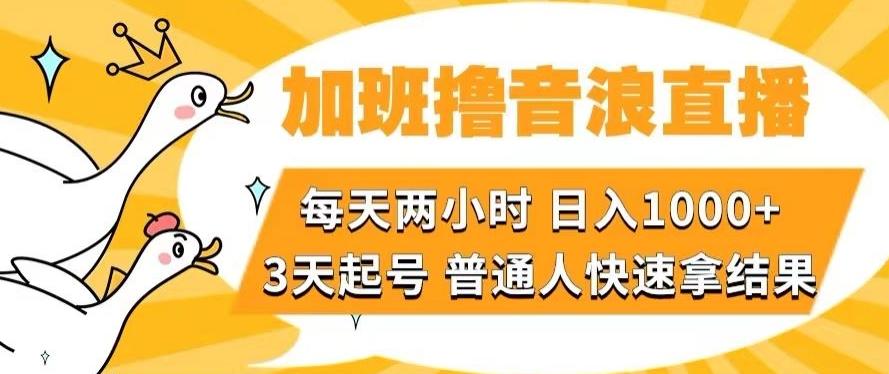 加班撸音浪直播，每天两小时，日入1000+，直播话术才3句，3天起号，普通人快速拿结果【揭秘】-卿云社