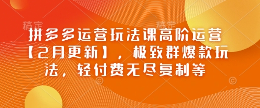 拼多多运营玩法课高阶运营【2月更新】，极致群爆款玩法，轻付费无尽复制等-卿云社