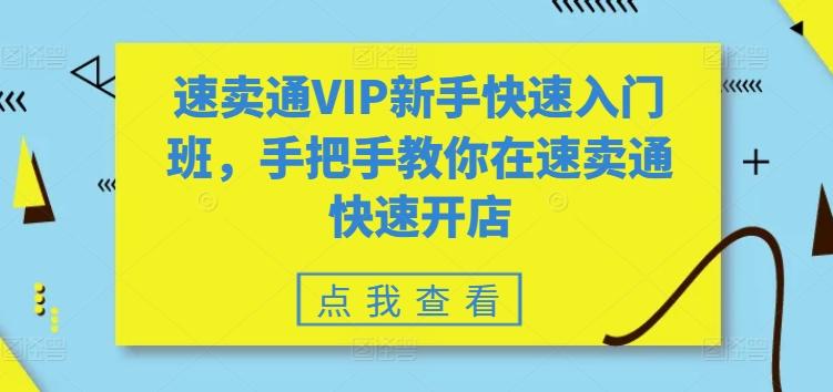 速卖通VIP新手快速入门班，手把手教你在速卖通快速开店-卿云社