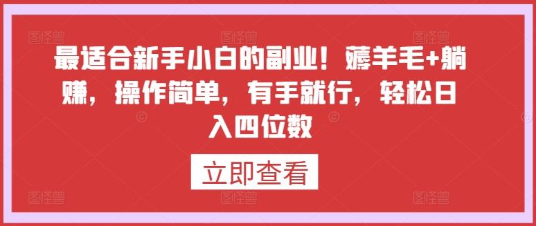 最适合新手小白的副业！薅羊毛+躺赚，操作简单，有手就行，轻松日入四位数【揭秘】-卿云社