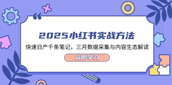 2025小红书实战方法，快速日产千条笔记，三月数据采集与内容生态解读-卿云社
