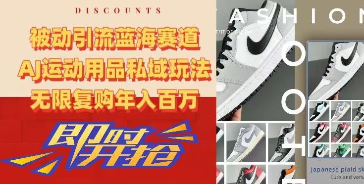 被动引流蓝海赛道，AJ运动用品私域玩法，无限复购年入百万【揭秘】-卿云社
