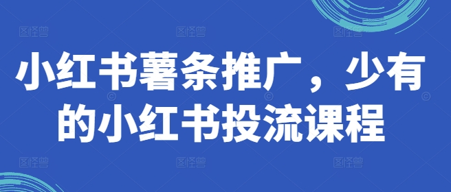 小红书薯条推广，少有的小红书投流课程-卿云社