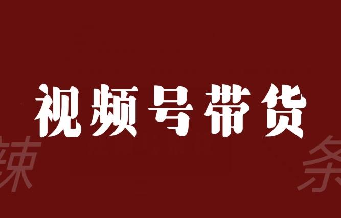 视频号带货联盟，赚信息差的带货钱，只需手机随时随地都可以做！-卿云社
