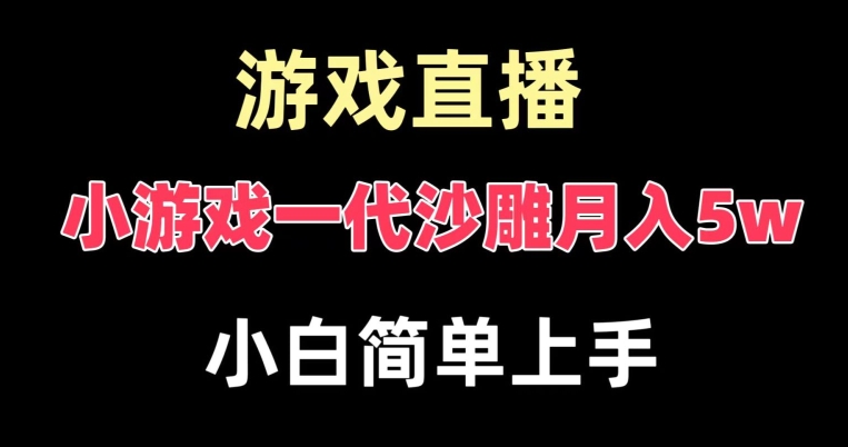 玩小游戏一代沙雕月入5w，爆裂变现，快速拿结果，高级保姆式教学【揭秘】-卿云社